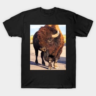 American Bison T-Shirt